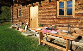 Chalet Sturmbachhütte - UTD110